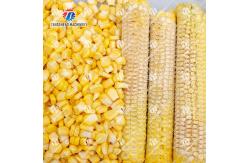 China Automatic Corn Thresher Machine Maize Shelling Corn Threshing supplier