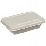 Eco Friendly Compostable Sugarcane Pulp Disposable Take Out Containers