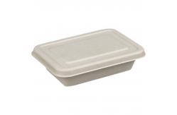 China Eco Friendly Compostable Sugarcane Pulp Disposable Take Out Containers supplier