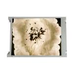 TX38D87VC1CAA 15.0 inch 1024*768 LCD Screen Panel Display for sale