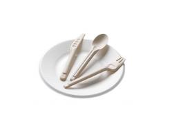 China Eco Friendly Compostable Cutlery Plant Based Sugarcane Bagasse Pulp Knife supplier