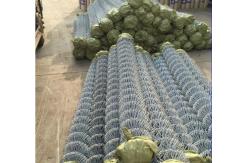China 100ft Roll Heavy Gauge Galvanized Chain Link Fence Abrasion Resistance supplier