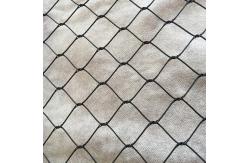 China SGS Flexible 20mm Hole Aviary Wire Netting For Zoo supplier