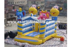 China used commerical playground equipment inflatable combo  supplier