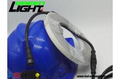 China Warm White SMD5050 16W IP68 Led Waterproof Strip Lights supplier