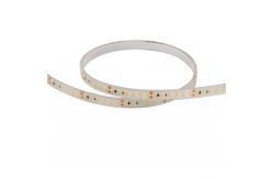 China Waterproof 24V Outdoor Led Strip Lights SMD2835 Transparent Led Strip supplier