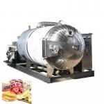 SS304 SS316 Food Vacuum Freeze Dryer Machine Vacuum Lyophilization for sale