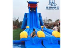 China Commercial Grade Inflatable Water Slide And Pool With Bouncy House Inflatable Water Slide supplier