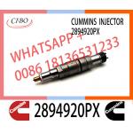 Diesel common rail Fuel Injector 2894920PX 2894920