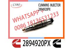 China Diesel common rail Fuel Injector 2894920PX 2894920 supplier