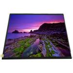 LQ097L1JY02Z 9.7 inch 2048*1536 LCD Display Screen for sale