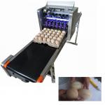 120w Digital Industrial Egg Jet Printer With Six Laser Exclusive Use Ink for sale