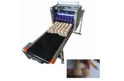 China 120w Digital Industrial Egg Jet Printer With Six Laser Exclusive Use Ink supplier