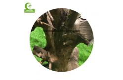China Real Touch 130cm High Artificial Ficus Tree , Lifelike Artificial Palm Trees Durable supplier