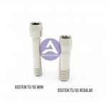 Osstem GS TS Hex 1.22mm Dental Implant Titanium Screw for sale