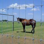 Goat Farm Fixed Knot Field Fence Galvanized Stainless Steel for sale