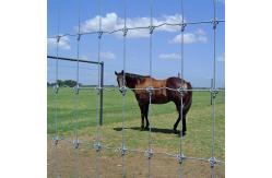 China High Strength Galvanized Fixed Knot Cattle Fence Metal Iron supplier