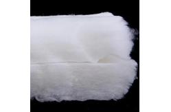 China High Durability and Highly Polyester Staple Fiber with Siliconized Pattern supplier