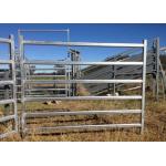 Anti Rust Finish Horse Corral Panels 360 Degree Firmly Welded Surface for sale