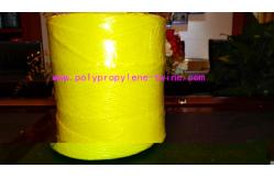 China 2% UV Polypropylene Baling Twine supplier