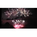 Liuyang 56 Shots Professional Fireworks Display 1.3g Un0335 For Festival Celebration for sale
