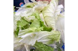 China Automatic Fruit And Vegetable Dehydrator Vegetable Cabbage Okra Dehydration Dryer supplier