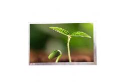 China C080VW01 V0 LCD Screen Display Panel supplier