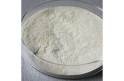 China 1200000U/G 2400GDU Bromelain Powder Protease Soluble In Water supplier