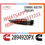 Diesel common rail Fuel Injector 2894920PX 2894920