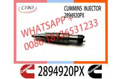 China Diesel common rail Fuel Injector 2894920PX 2894920 supplier