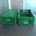Green Plastic Storage Crate 600x400x220cm For Fruit Vegetable