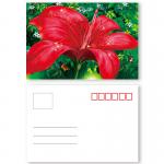 Beautiful Flower Design 3D lenticular postcard printing PET/ PP Landscape for sale
