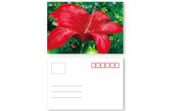 China Beautiful Flower Design 3D lenticular postcard printing PET/ PP Landscape supplier
