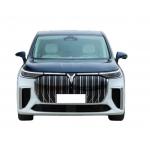 Dreamer Voyah EV 2023 Max Speed 25km/H Electric Powered Vehicle for sale