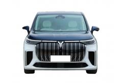 China Dreamer Voyah EV 2023 Max Speed 25km/H Electric Powered Vehicle supplier