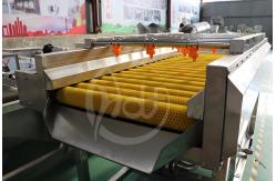 China Vegetable Washing Machine Tomato Washing Machine Vegetable Wash Line Automatic Vegetable Washer supplier