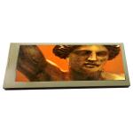 6.3 inch industrial lcd panel TX16D204VM0BAA lcd Screen display for sale