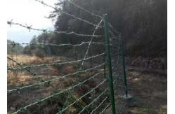 China 2.8mm Plastic Pvc Coated Barbed Wire supplier
