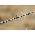 Farm Protection Double Twisted Hot Dipped Galvanized Barbed Wire Coils for sale