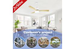 China Winter Season Smart Bldc Ceiling Fan With Light By Reversible Function supplier