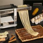 Shule Household Electric Noodle Maker For Making Fresh Italian Pasta for sale
