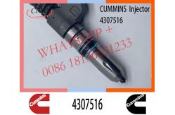 China Diesel  QSM11 ISM11 M11 Engine Fuel Injector 4307516 4061851 supplier