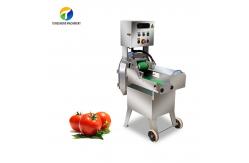 China Celery Chinese Cabbage Vegetable Processing Machine Single Head Tengsheng supplier