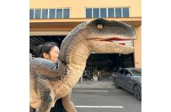 China Realistic Animatronic Dinosaur Shoulder Puppet for Amusement Park supplier