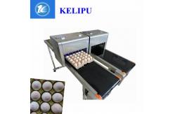 China Safety Egg Inkjet Coding Printer / Inkjet Marking Printer With Edible Food Ink supplier