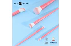 China Customizable Face Travel Makeup Brush Set With Plastic Handle And Aluminium Ferrule supplier