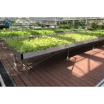 Agricultural Ebb Flood Rolling Bench Indoor Farming Grow Tables For Greenhouse for sale