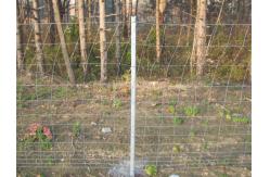 China HGMT 1.8m Field Livestock Fence Panels For Deer supplier