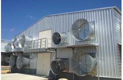 China Fabrication Chicken Coop Steel Frame With Customized Dimension supplier