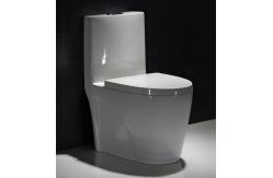 China Low Profile One Piece Elongated Toilet Commode Fully Glazed Siphon Jet Flush supplier
